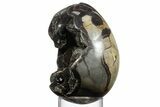 Septarian Dragon Egg Geode - Sparkly Black Crystals #356149-2